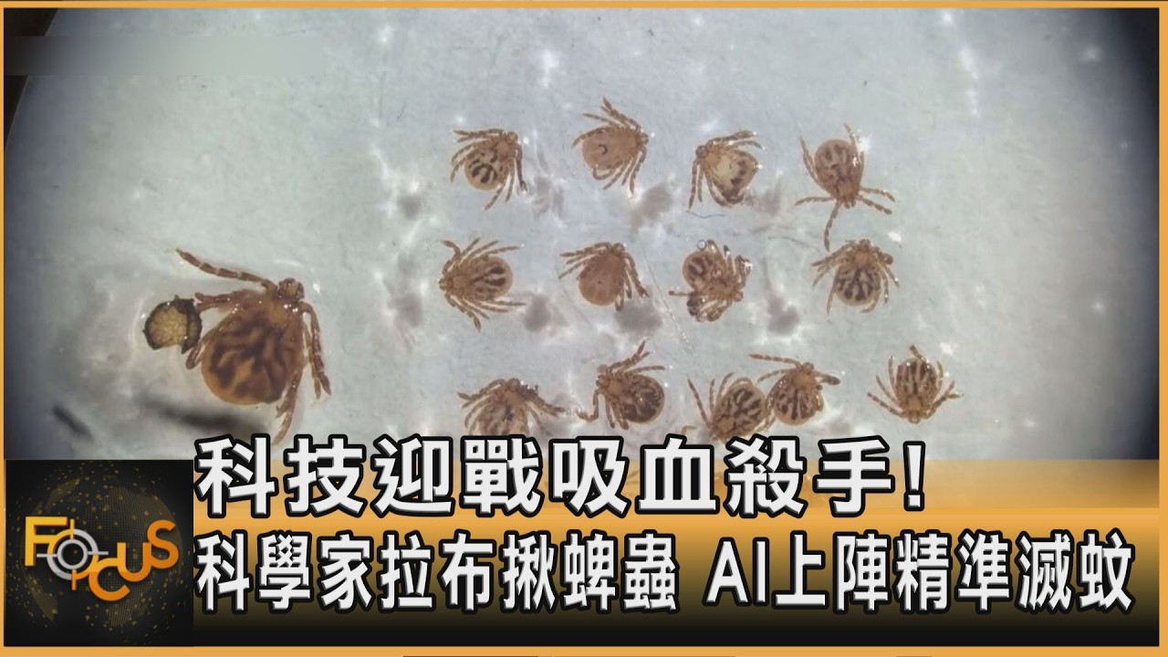 科技迎戰吸血殺手！科學家拉布揪蜱蟲　AI上陣精準滅蚊