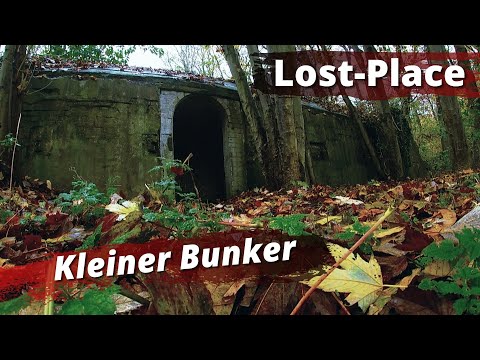 Lost Place: Der verlassene Bunker im Wald