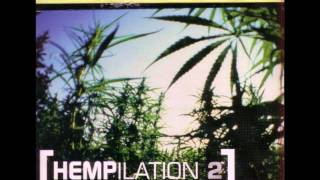 Robert Bradley&#39;s Blackwater Surprise - Don&#39;t Bogart Me