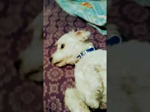 27 de septiembre de 2023