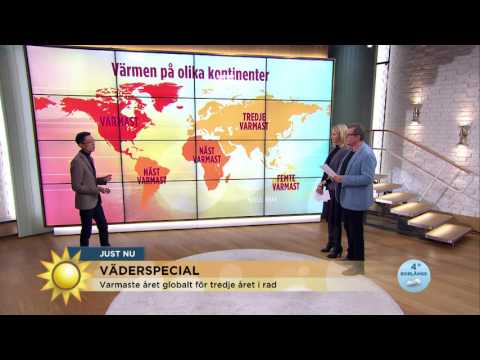 Chockvärmen: "Mycket varmare än normalt just nu" - Nyhetsmorgon (TV4)