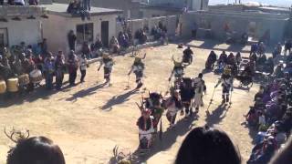 Hopi buffalo dance; Jan 28-29, 2012