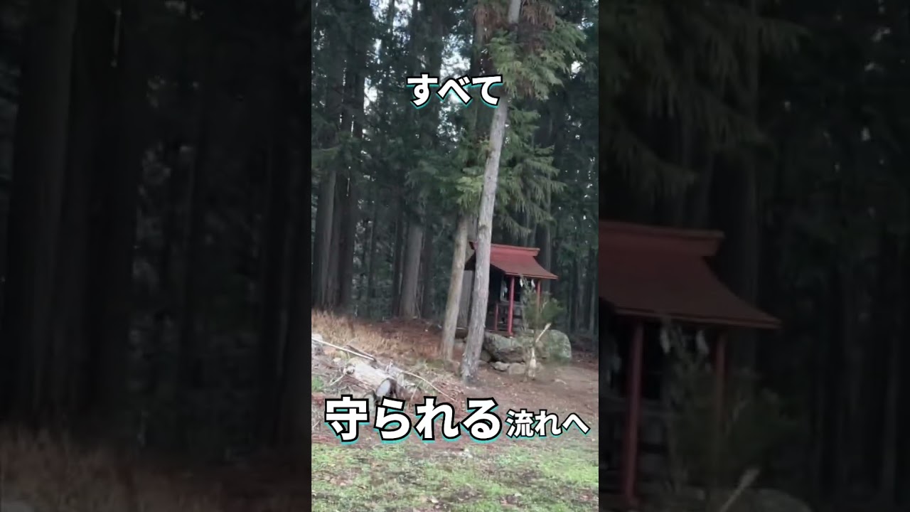 ※表示された時が合図※全方向の守護が整う神域｜再生した人に流れ込む金運・仕事運・良縁の御加護 #遠隔参拝 #神社 #パワースポット #開運 #金運 #仕事運 #良縁 #運気上昇 #守護 #日本の神様