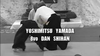 Aikido - Yoshimitsu Yamada Shihan - Tenchi Nage