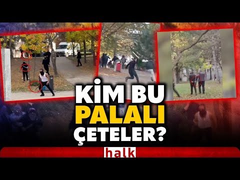 Hacettepe Üniversitesi'nde dehşet saçtılar! Ellerindeki palalarla öğrencilere saldıran bu çete kim?