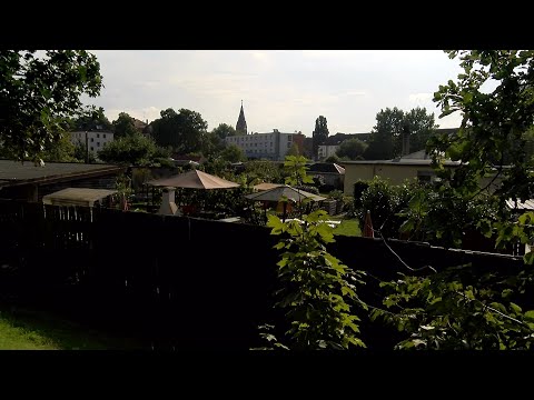 Die eigene Parzelle im Grünen – der Kleingarten ist und bleibt beliebt