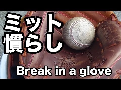 ミット慣らし Break in a glove #1690 Video