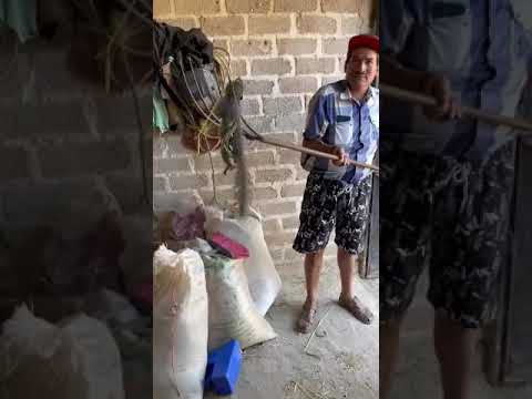 🤣Miren lo que mi compa Tesoro acaba de cazar, un Tesmo, y sin arma.. EL FAMOSO TESORO DE SANTA ROSA