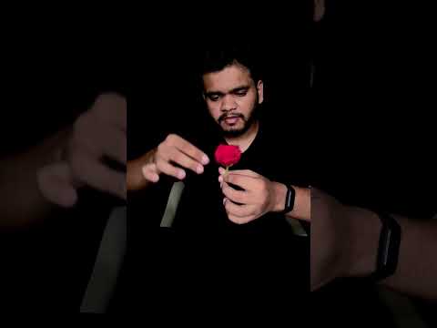 Chocolate 🍫 to Rose 🌹 #magic #chocolate #sweet #magictrick #rose #red #transformation