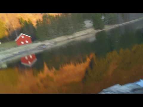 NyDammen på Vikåsen