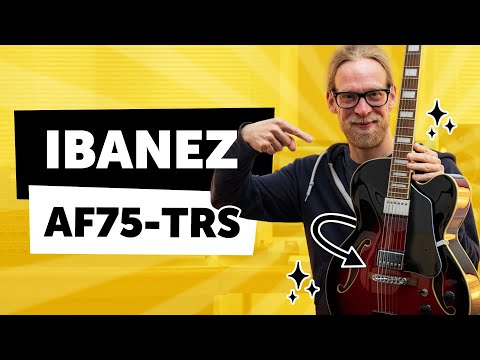 Демонстрация звучания полуакустической гитары Ibanez AF75