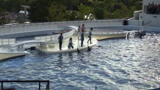 京都水族館イルカショー14.9.21
