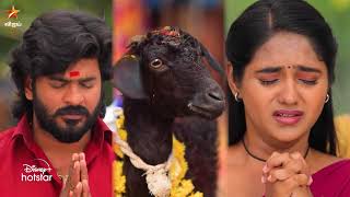 Chinna Marumagal-Vijay tv Serial