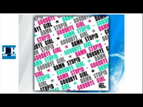 Damn Stupid - Goodbye Girl (Original Mix)