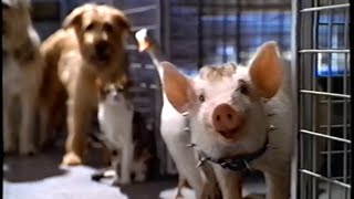 Babe - Pig in the City (1998) Teaser (VHS Capture)