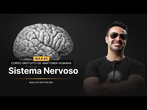 AULA 03 : Sistema Nervoso Central | Anatomia aplicada para estudantes - Curso Gratuito