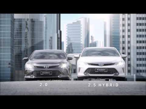 Camry | Nešiojamas tualetas | CR 1035 | 20 l video