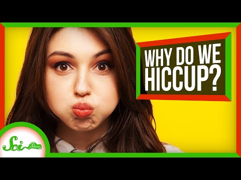 赤ちゃんのしゃっくりが多い不思議な理由 (The Wonderful Reason Babies Hiccup So Much)