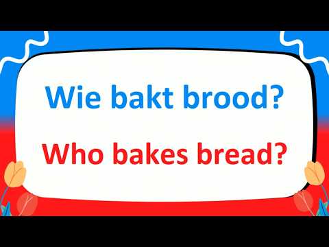 Learn 300+ Basic Dutch WHO, WHAT, WHEN and WHERE Questions Essential for Daily Conversations!