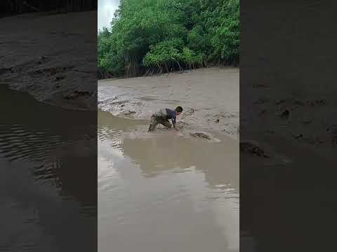 melhor parte de morar em Augusto Corrêa Pará, fácil acesso a frutos do mar,sirí, caranguejo,camarão.