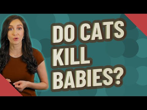 Do cats kill babies?