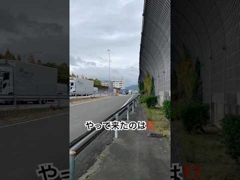 名神深草バス停にて到着するバスを見ているとやって来たのは？ #bus #高速バス #バス停 #路線バス #路線バスの旅 #JR東海バス #ラッピング #名神高速道路