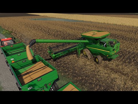 MidWest Horizons Ep#13 | Harvest, Hay| FS19 Timelapse |Farming Simulator 19 Timelapse