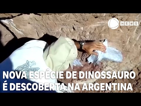 Nova espécie de dinossauro é descoberta na Argentina