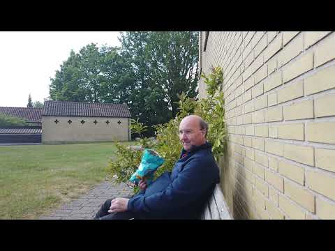 MongoTV_12024 - SPISER IRMA CHIPS PÅ EN BÆNK PINSEDAG 2023