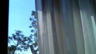 Alda Merini - A Franco Basaglia - Voce di Sergio Carlacchiani