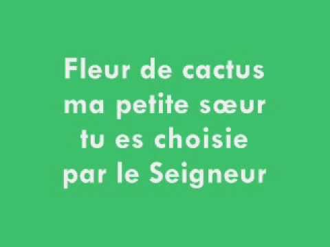 Video thumbnail for Fleur de cactus