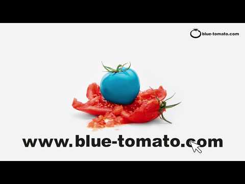 Online Clearance Sale 2018 Blue Tomato Snowboard Surf Skateboard Freeski