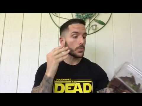 Fun Sized Review: Trader Joe's Dark Chocolate Covered Honey Grahams w/ Sea Salt