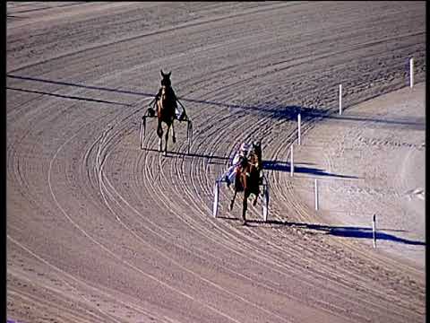 Trotto 10/01/2020 - prova di qualifica