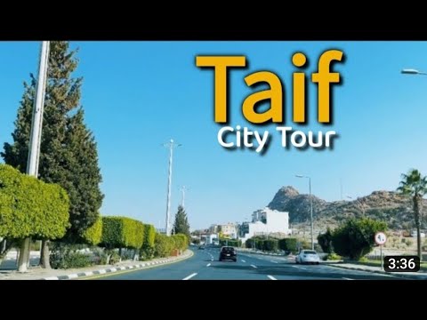 Taif Ziyarat,🇸🇦Grape Graden & Struggle Story Of Prophet Muhammad PBUH With Urdu Guide in Taif Saudi