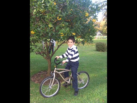 פריד אל אטרש - פוא רוסנק יה למונא פוק ג'צנך יא למונא Farid Al Atrash - Fouk Ghosnek Ya Lamona