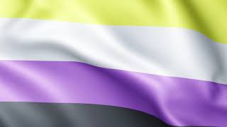 Non Binary Pride Flag Animation | LHBTIQ | Flags of the World