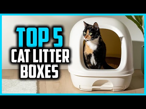 16x24 Box For Cat
