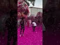 Luxury Wedding Entry Kurchi Madathapetti Luxary Wedding Entry Love Shorts
