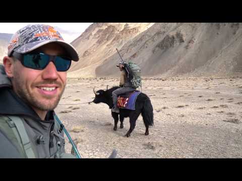 East of the Sun - Tajikistan Ibex