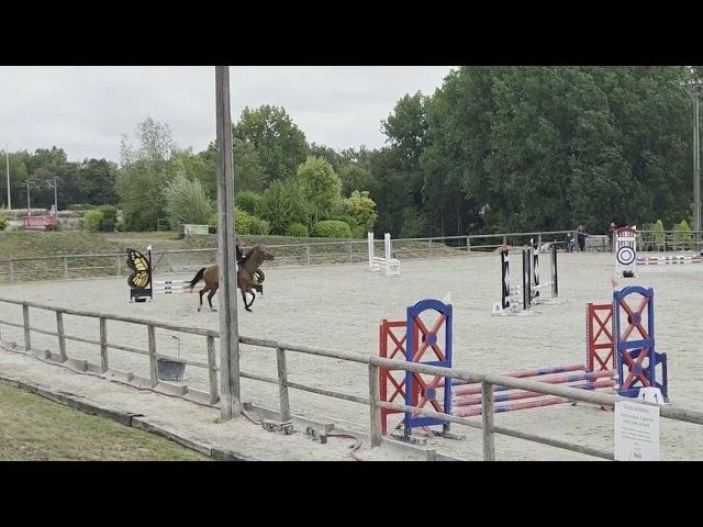 Jument de 4ans à vendre