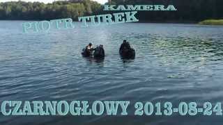 preview picture of video 'Czarnogłowy-nurkowanie 2013 08 24'