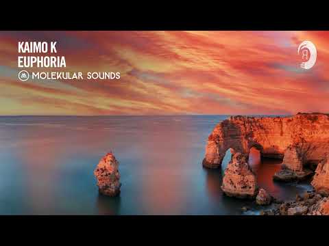 Kaimo K - Euphoria [Molekular Sounds] Extended