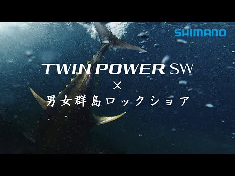 Mulineta Shimano Twin Power 21 SW 5000XG