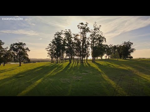 El Quijote Punta del Este