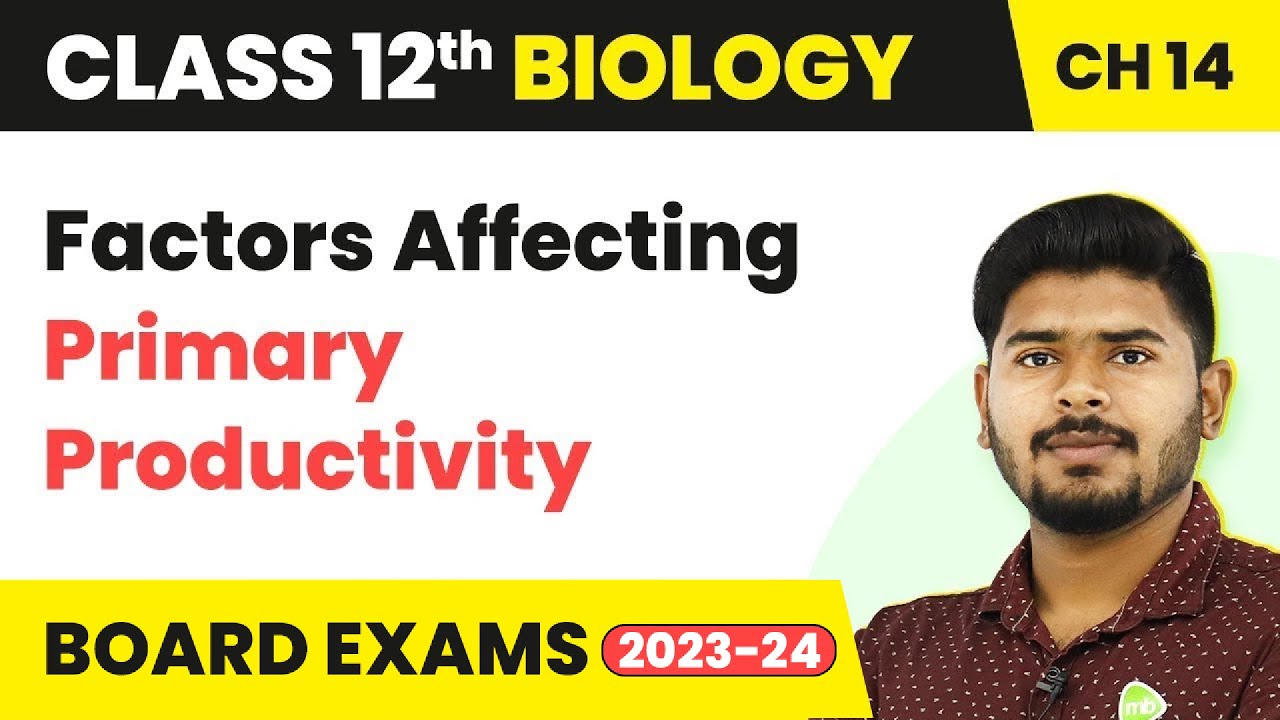 Factors Affecting Primary Productivity- Ecosystem | Class 12 Biology Chapter 14 NCERT/NEET (2022-23)