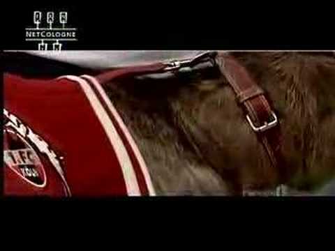 1.FC Köln Aufstiegsvideo