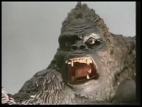 Film 93 report on MOMI's fifth birthday