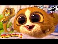 MADAGASCAR 2 FILM COMPLET FRANÇAIS DU JEU La Grande Évasion Story Game Movies