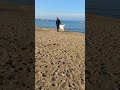 Termoli Beach In The Winter Time A Beautiful Walk With Our Italian Maremma